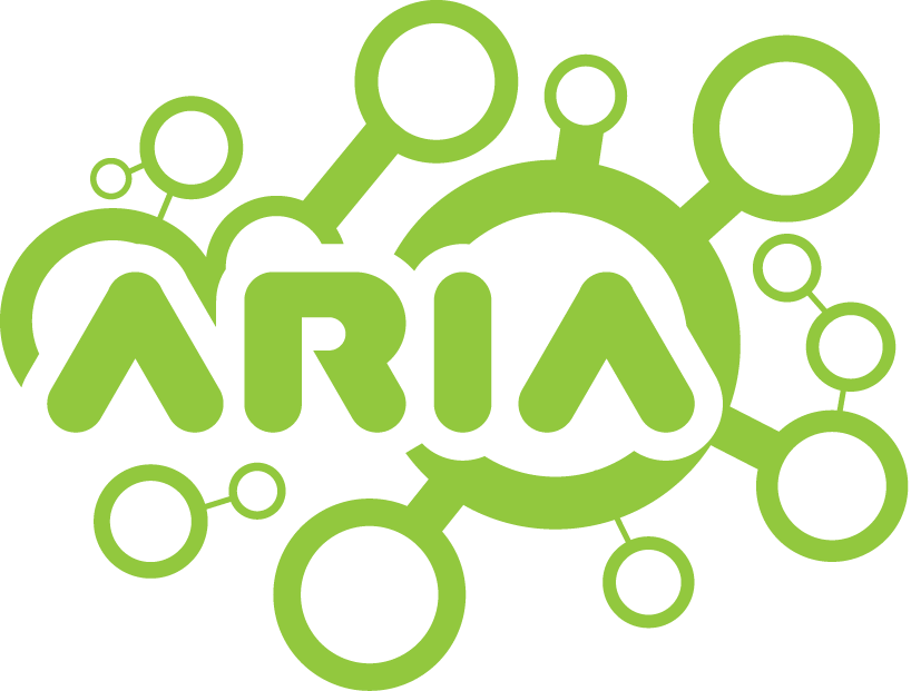 Romanian Association for Artificial Intelligence